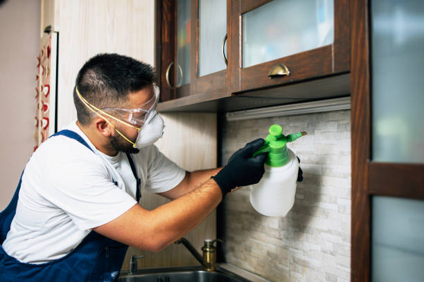 Best Mosquito Control Services  in Hooper, UT